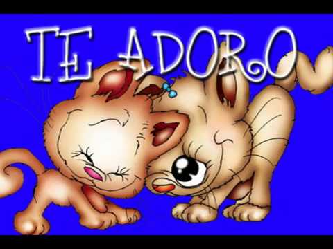 feliz 11 meses mi amor...te amo - YouTube