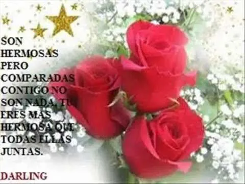 feliz 14 de febrero.wmv( ROSAS ROJAS, INDUSTRIA DEL AMOR) - YouTube