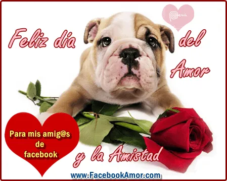 Feliz día del amor y la amistad - Imagenes de Amor Facebook