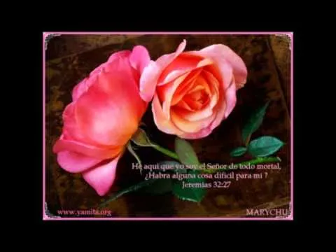 A TU LADO SOY MUY FELIZ MI AMOR - YouTube