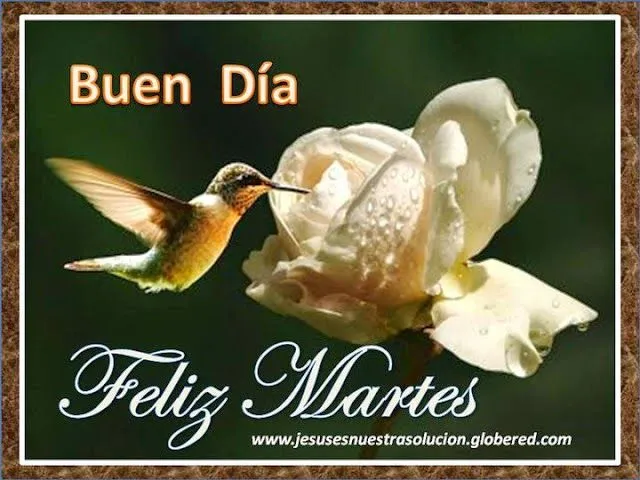 Felíz y bendecido martes con lindas flores - Imagenes de facebook ... Felíz y bendecido martes con lindas flores - Imagenes de facebook ...