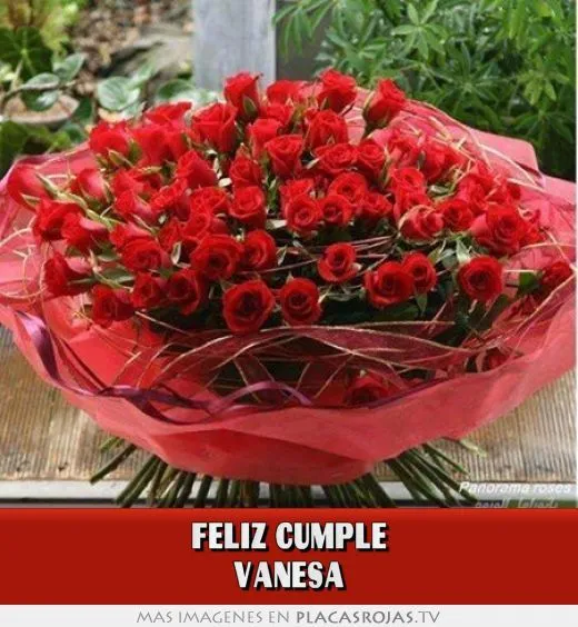 FELIZ CUMPLE VANESA - Placas Rojas TV