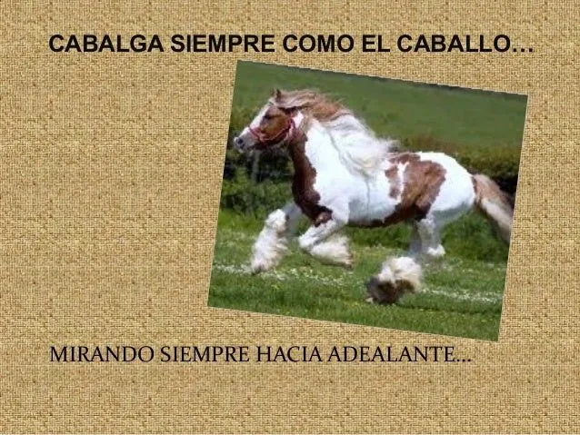 feliz-cumpleaos-24082013-44- ...