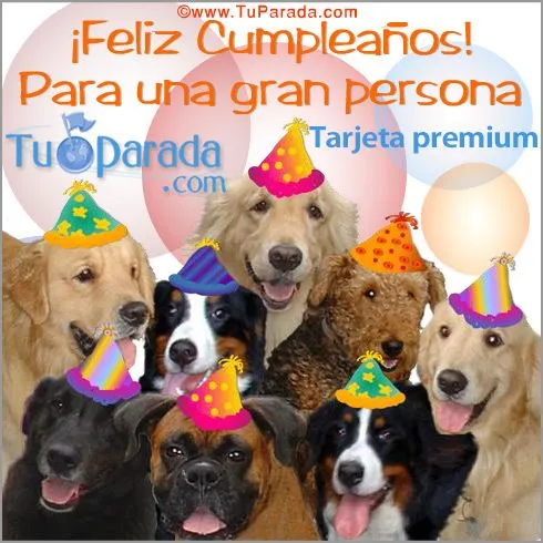 Feliz Cumpleaños!, Animales, tarjetas