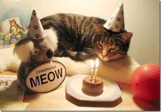 Feliz Cumpleaños Bichito! | M.P.B.