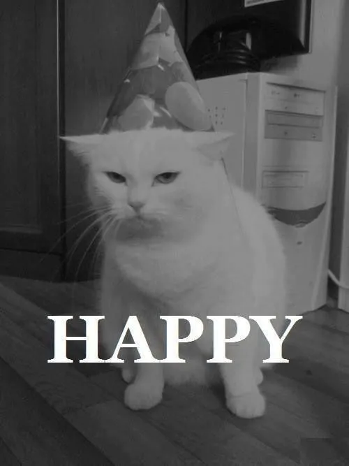 feliz cumpleaños chistosos tumblr - Buscar con Google | frases ...