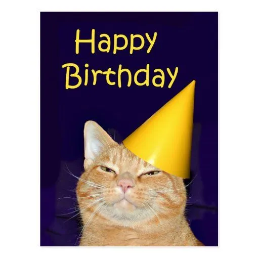 Feliz cumpleaños del gato feliz tarjetas postales de Zazzle. Feliz cumpleaños del gato feliz tarjetas postales de Zazzle.