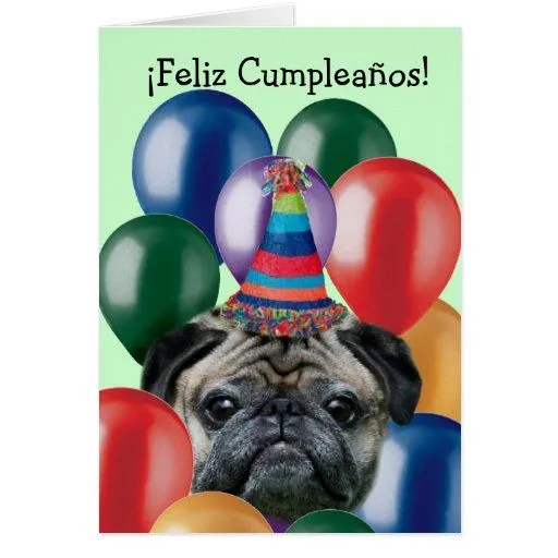 Feliz Cumpleaños Happy birthday pug card | Zazzle Feliz Cumpleaños Happy birthday pug card | Zazzle