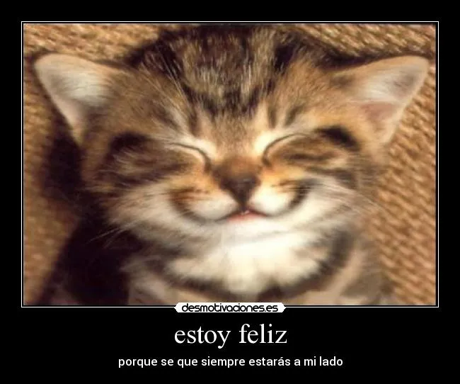 estoy feliz | Desmotivaciones