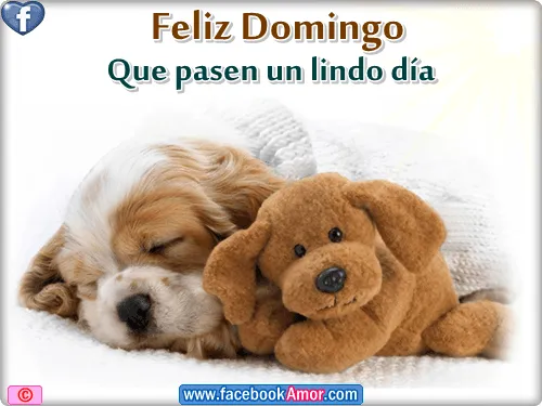 Feliz domingo - Imágenes Bonitas para Facebook Amor y Amistad