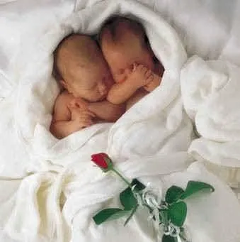 Ser Feliz é Ser Livre: Os bebês mais lindos do mundo Ser Feliz é Ser Livre: Os bebês mais lindos do mundo