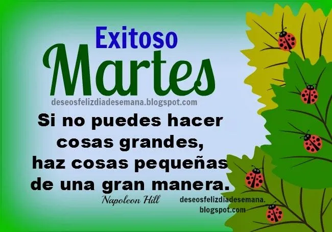 Feliz y Exitoso Martes | Deseos Feliz Día de Semana