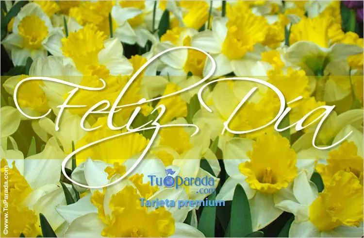 Feliz día con flores amarillas. Flores, ver tarjetas, postales ... Feliz día con flores amarillas. Flores, ver tarjetas, postales ...