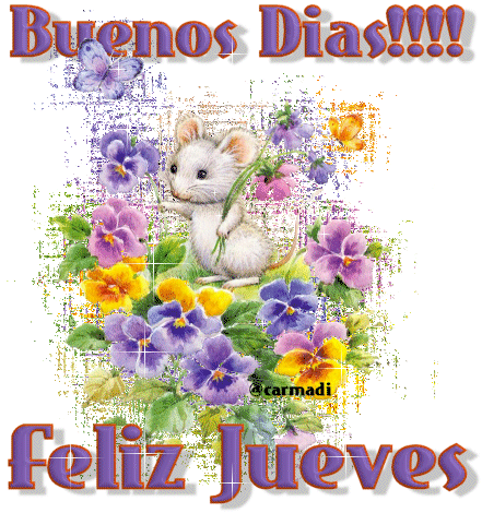 Buenos Días y Feliz Jueves | Imágenes y Postales de Amor Buenos Días y Feliz Jueves | Imágenes y Postales de Amor