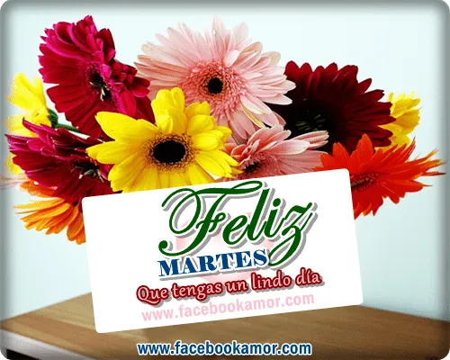 Feliz martes - Imágenes Bonitas para Facebook Amor y Amistad