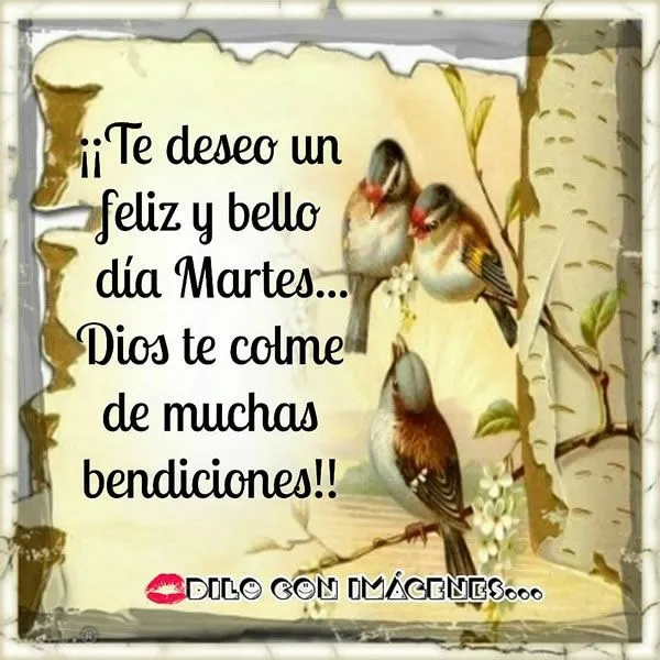 Feliz Martes - Imágenes para Compartir (Página 4) - ImagenesCool Feliz Martes - Imágenes para Compartir (Página 4) - ImagenesCool