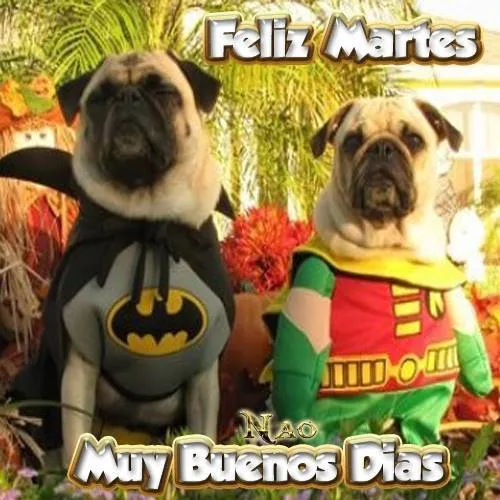 Feliz Martes. Muy buenos días - TnRelaciones Feliz Martes. Muy buenos días - TnRelaciones