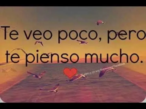 Feliz primer mes Amor !! 29- 12 - 2013 TE Amo Yesika - YouTube Feliz primer mes Amor !! 29- 12 - 2013 TE Amo Yesika - YouTube