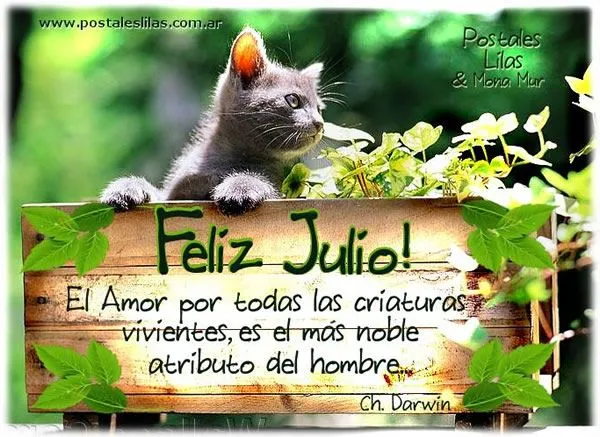 Feliz julio! imagen #5325