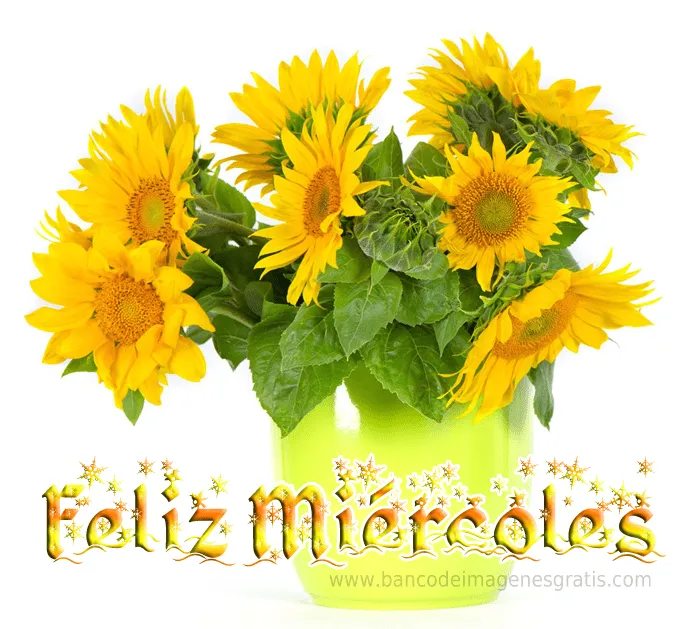 feliz-miercoles-flores- ...