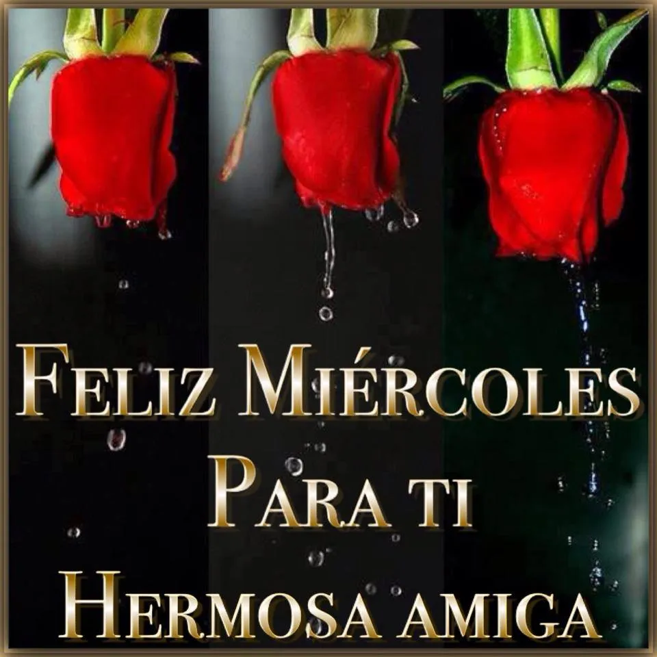 Feliz Miércoles, para tí, Hermosa Amiga - TnRelaciones Feliz Miércoles, para tí, Hermosa Amiga - TnRelaciones