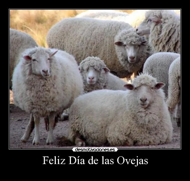 Feliz Día de las Ovejas | Desmotivaciones