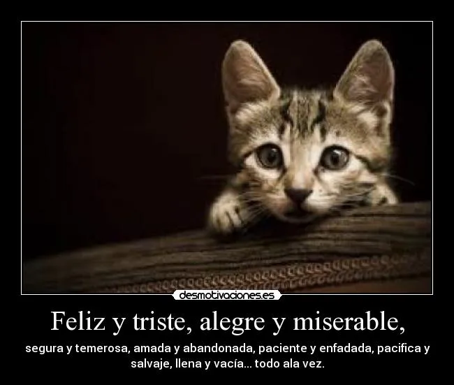 Feliz y triste, alegre y miserable, | Desmotivaciones