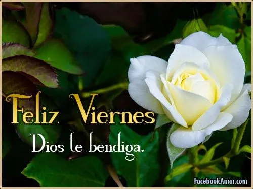 Feliz Viernes que pasen un lindo día - Imágenes Bonitas para ... Feliz Viernes que pasen un lindo día - Imágenes Bonitas para ...