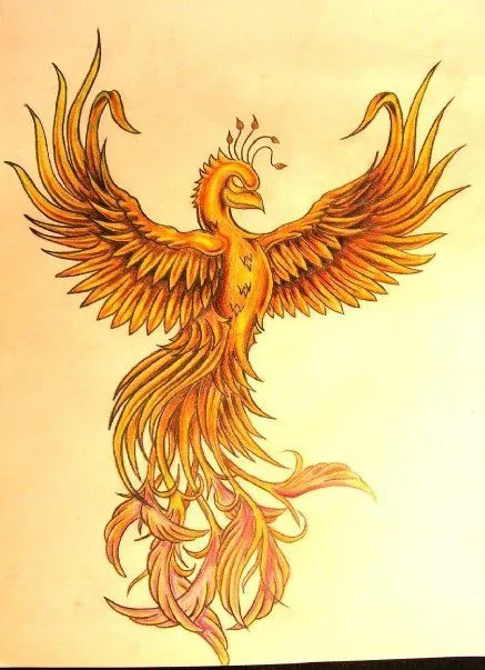 fenix sol chao - Artelista.com