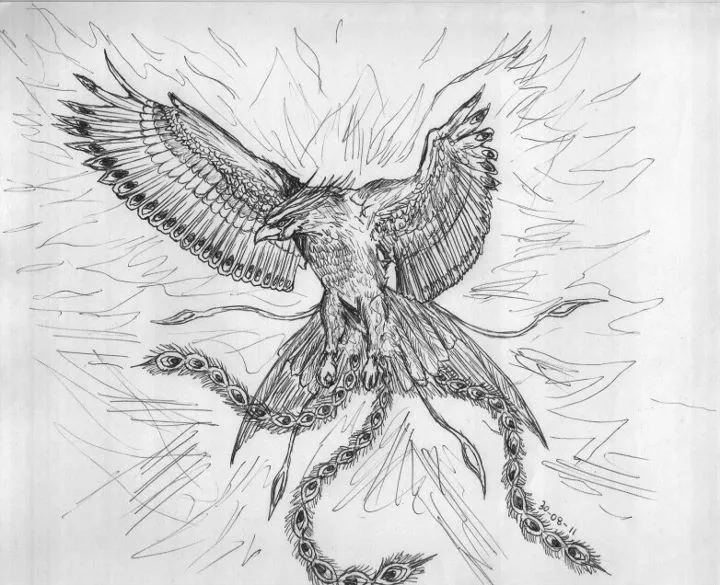 Ave fenix dibujo a lapiz - Imagui