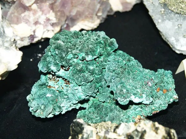 Feria de minerales y fósiles, Mineralexpo 2008, MineralTown.com Feria de minerales y fósiles, Mineralexpo 2008, MineralTown.com