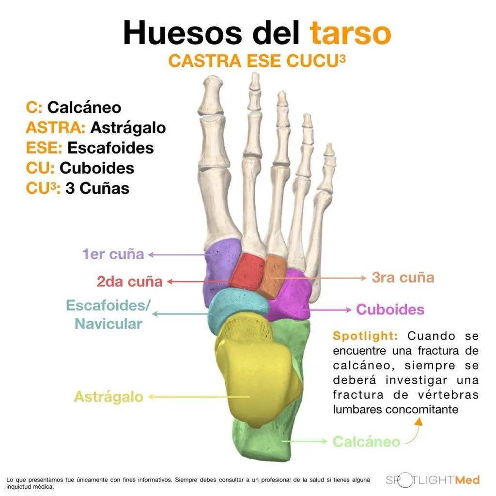 Fernando Figueroa S. on Twitter: "#Educaciónmedicacontinuada ...