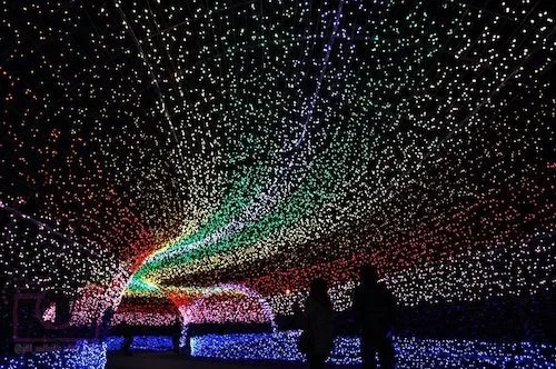 Festival de luces de invierno de Nabana no Sato: Japón | Gerencia ...