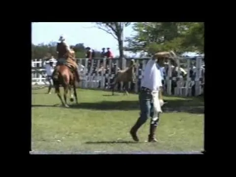 Festival Provincial Del Toro Cebu 1/6 - YouTube Festival Provincial Del Toro Cebu 1/6 - YouTube