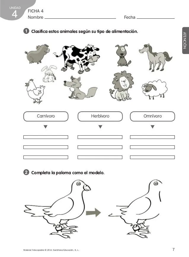ficha animales herbívoros carnívoros y omnívoros para colorear - Buscar con Google | Autotrofos y heterotrofos, Animales herbívoros, Omnivoros ficha animales herbívoros carnívoros y omnívoros para colorear - Buscar con Google | Autotrofos y heterotrofos, Animales herbívoros, Omnivoros