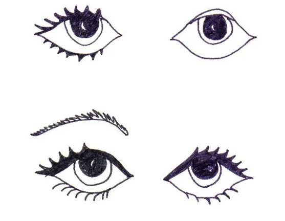 Ficha: cejas y pestañas | Recurso educativo 49116 - Tiching Ficha: cejas y pestañas | Recurso educativo 49116 - Tiching