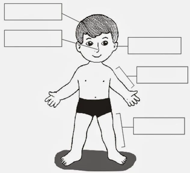 Ficha del Cuerpo Humano para colorear y poner el nombre | Para niños Ficha del Cuerpo Humano para colorear y poner el nombre | Para niños