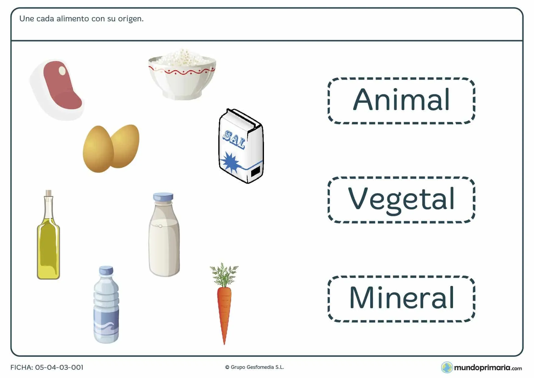 Ficha del origen de los alimentos para primaria Ficha del origen de los alimentos para primaria