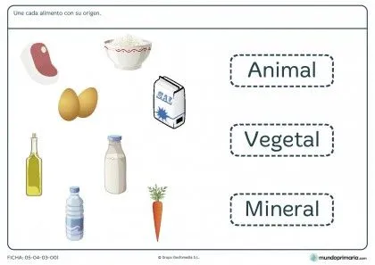 Ficha del origen de los alimentos para primaria | Fichas de ...