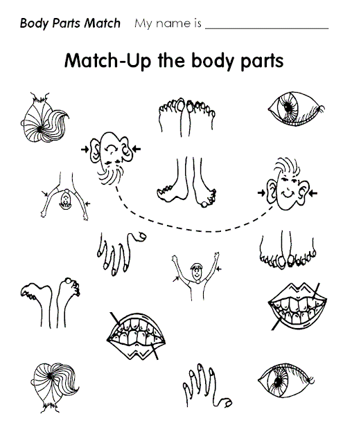 Ficha de las partes del cuerpo en inglés - Imagui Ficha de las partes del cuerpo en inglés - Imagui