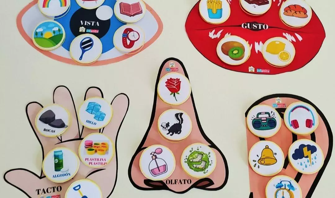 Ficha de los sentidos | Recurso infantil sobre los 5 sentidos Ficha de los sentidos | Recurso infantil sobre los 5 sentidos