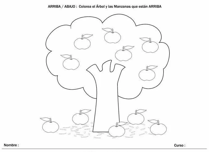 Fichas de arriba y abajo | Estudiar y jugar