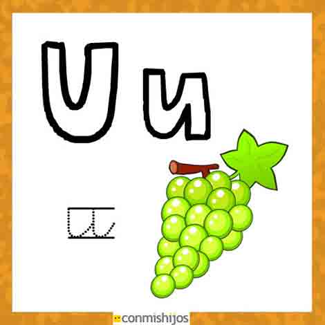 Objetos con la letra u - Imagui