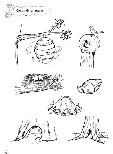 FICHAS DE CIENCIAS NATURALES PARA COLOREAR FICHAS DE CIENCIAS NATURALES PARA COLOREAR