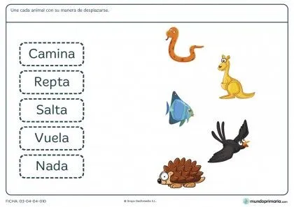 Fichas de Ciencias Naturales para niños de primaria para imprimir