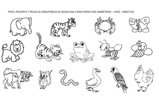 fichas-de-animales-4-638.jpg? ...