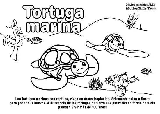 Fichas educativas de animales, recursos educativos infantiles ...