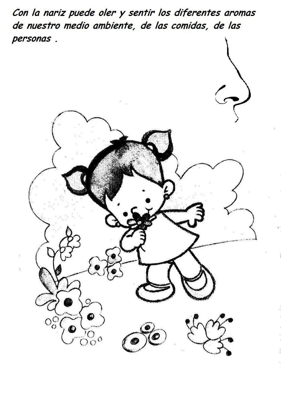 Fichas Infantiles: Fichas de los sentidos para imprimir Fichas Infantiles: Fichas de los sentidos para imprimir