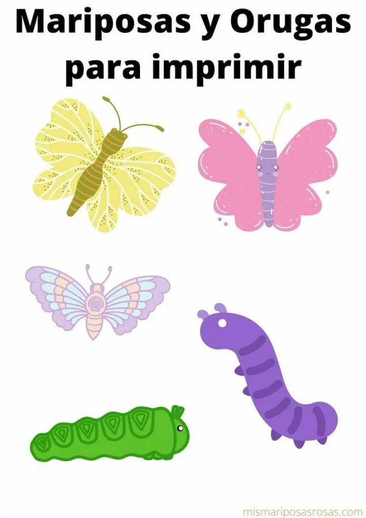 6 fichas infantiles de mariposas para descargar gratis 6 fichas infantiles de mariposas para descargar gratis