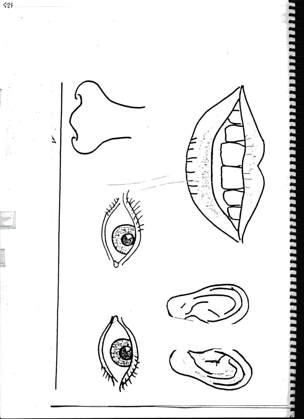 Fichas de inglés: Ficha Face 8: Make a face Fichas de inglés: Ficha Face 8: Make a face